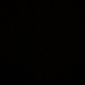 Meet your Posher, Chana